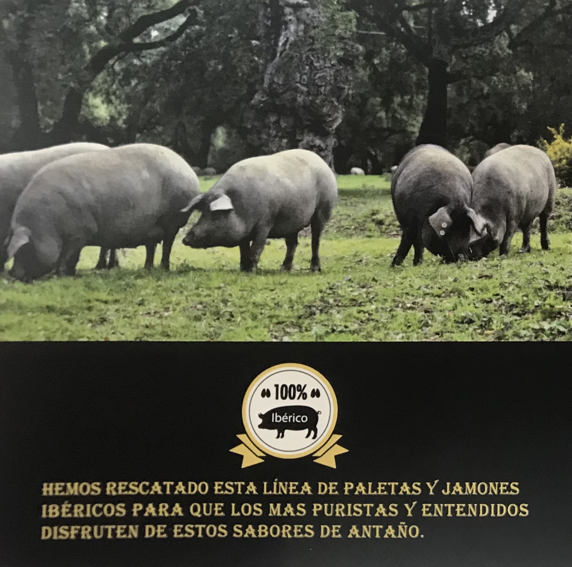 Jamón de cebo 100% ibérico Solera grande - Imagen 2
