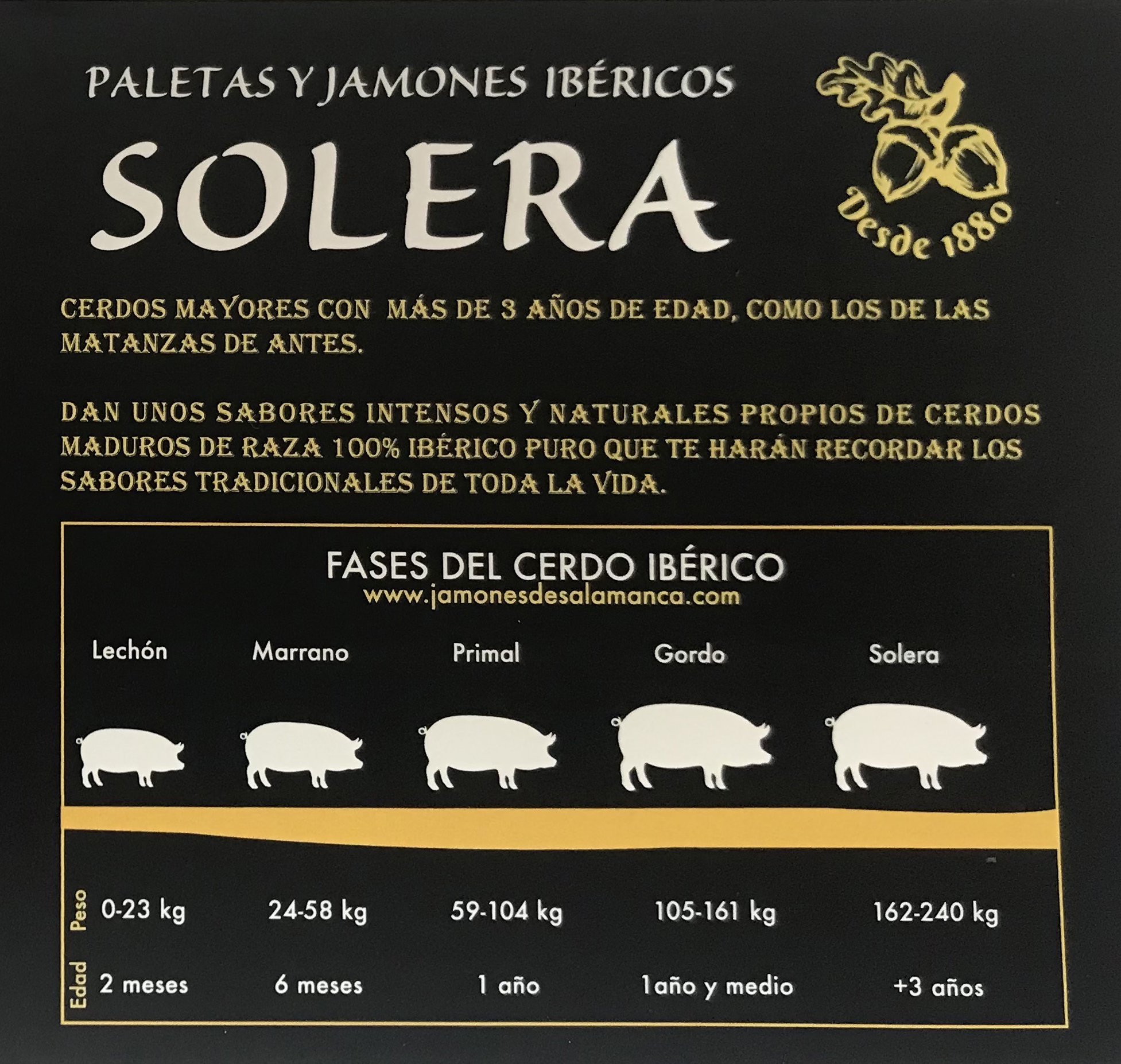 Jamón de cebo 100% ibérico Solera grande - Imagen 3